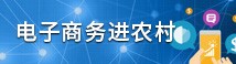 电子商务进农村